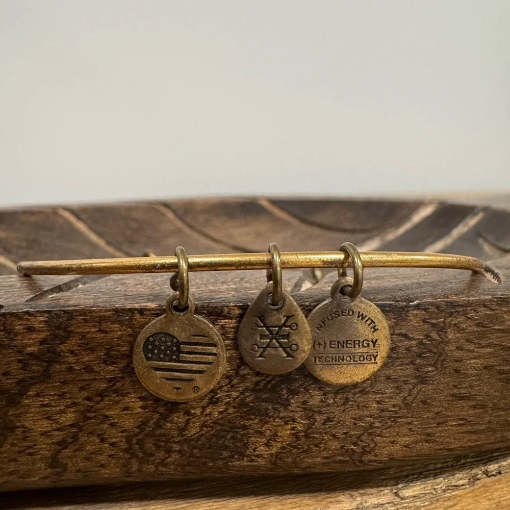 Alex and Ani Pineapple Charm Bangle – Rafaelian Gold Finish